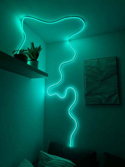 ALECART PREMIUM RGB NEON ROPE LIGHT